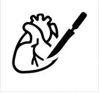 Cardiac Surgery Specialist